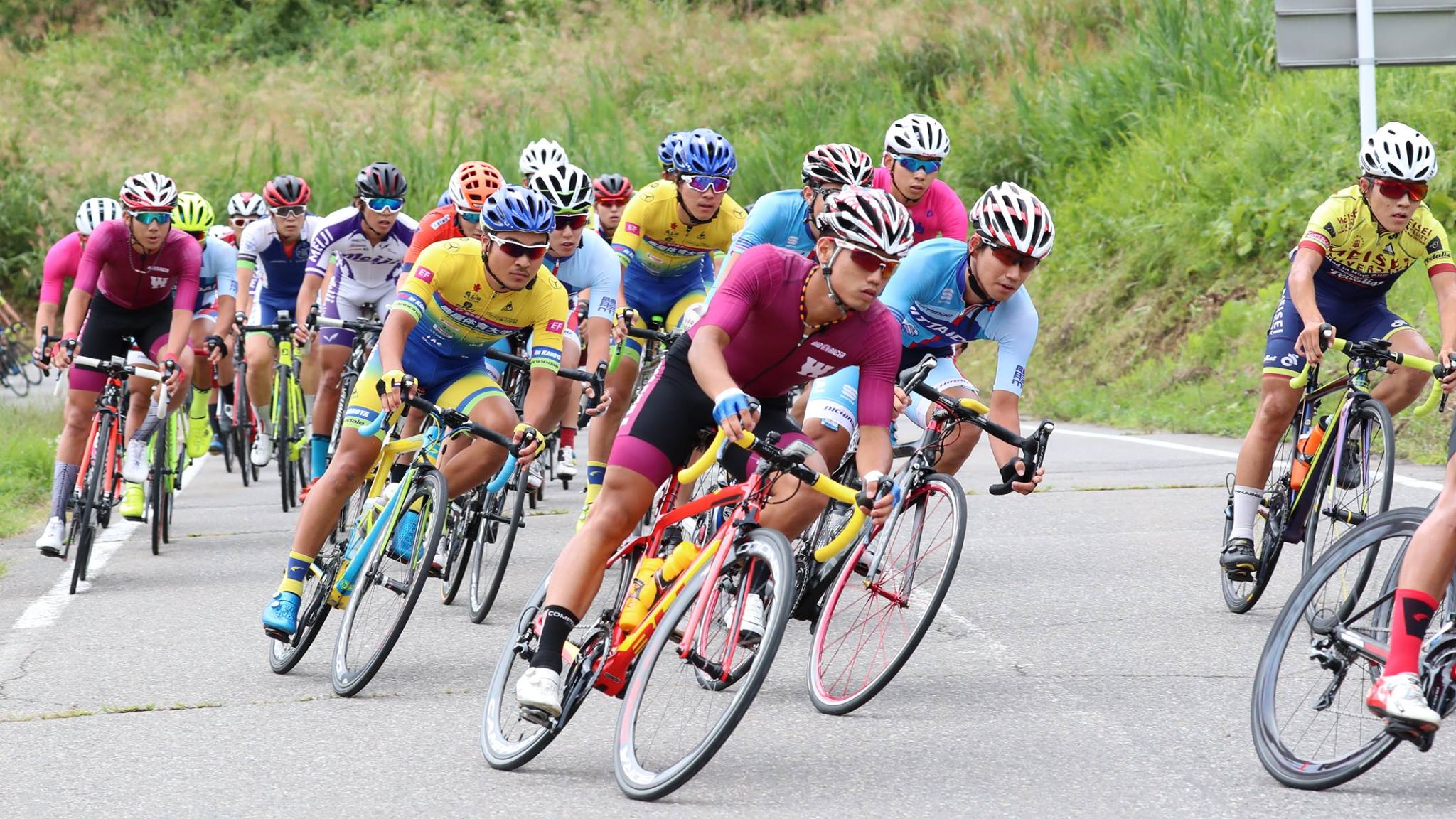 【新品未使用】早稲田大学 自転車競技部　サイクルジャージ Bioracerサポートライダー】梶原悠未選手に最新のBIORACER製
