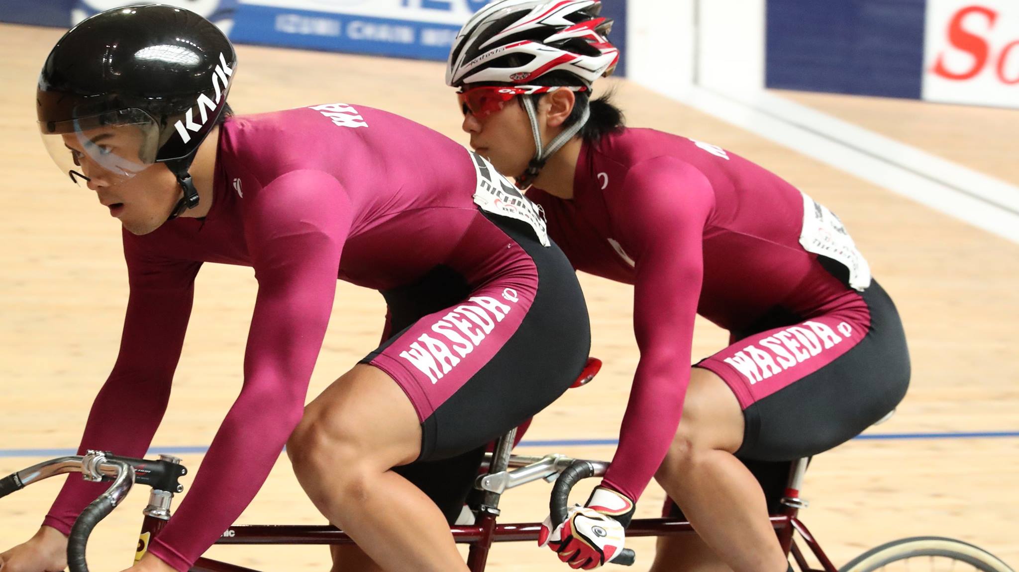 安倍大成（早稲田大学） | JICF.OFFICIALS